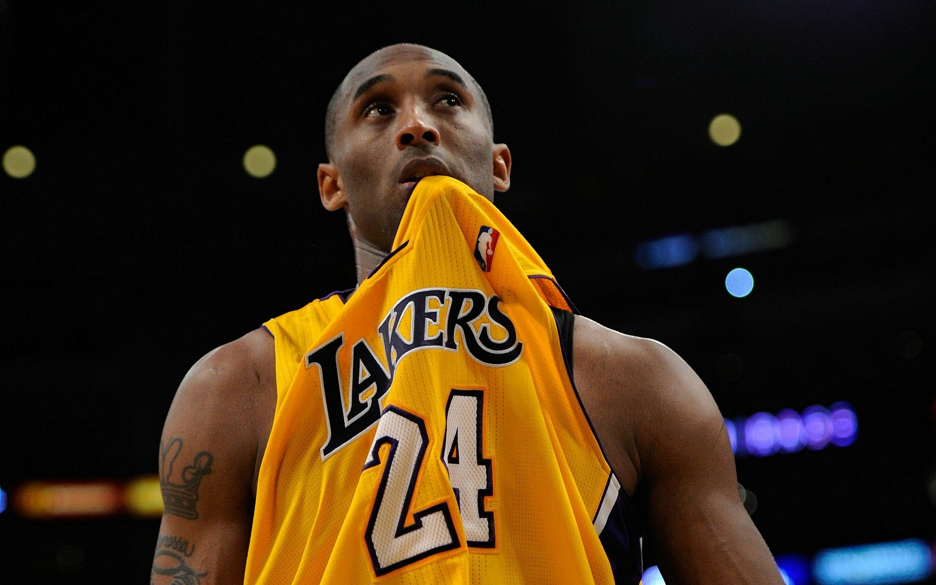 段进行24 段进行24