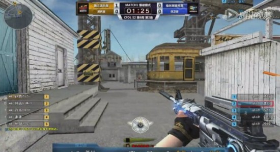 马来西亚羽 马来西亚羽