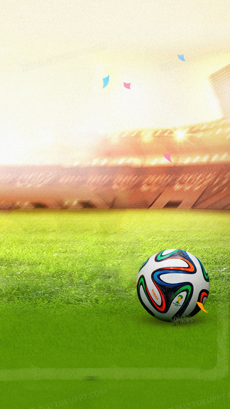 他们的实力 他们的实力