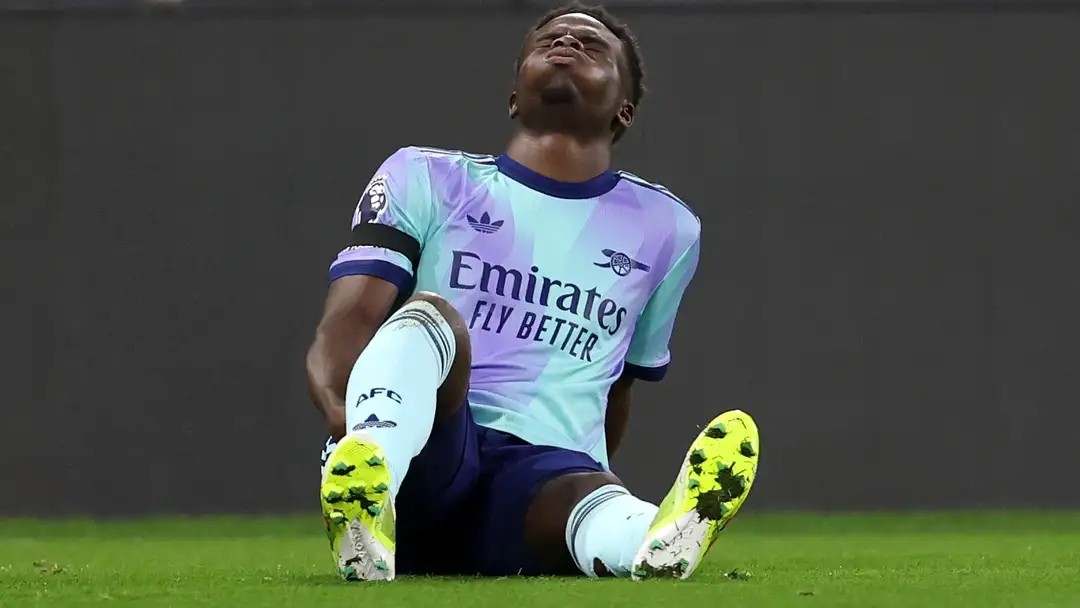 帕尔默和马 帕尔默和马