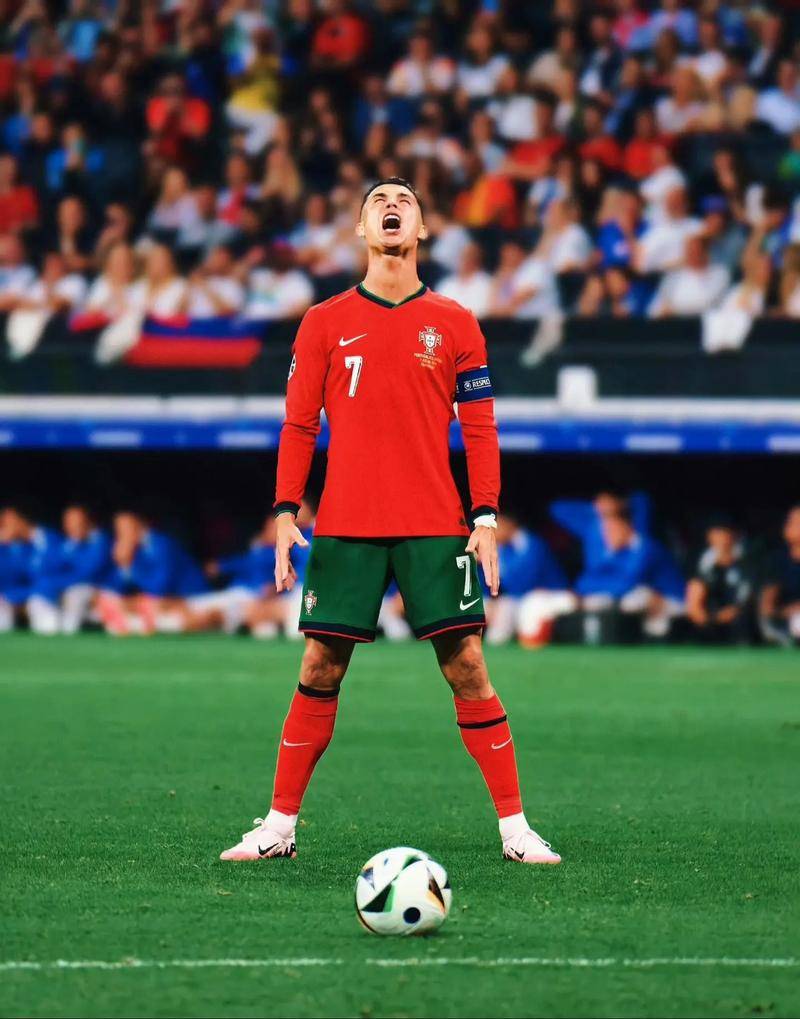 强调阵地战 强调阵地战